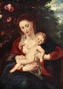 Virgin and Child RUBENS, Pieter Pauwel